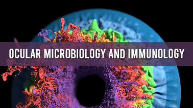 Peers Alley Media: Ocular Microbiology and Immunology