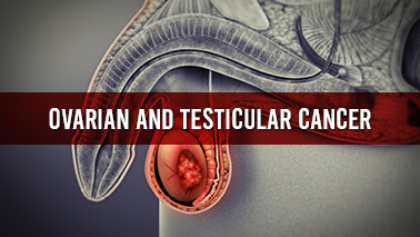 Peers Alley Media: Ovarian and Testicular Cancer