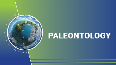 Peers Alley Media: Paleontology