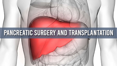 Peers Alley Media: Pancreatic Surgery and Transplantation