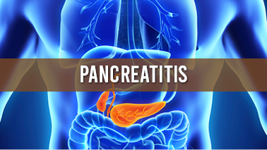 Peers Alley Media: Pancreatitis