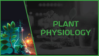 Advanced Plant Science Conferences 2026 | Plant Biology Conferences 2025  USA | Europe Plant Genomics Meetings | Asia | Middle East | UK | Japan |  Australia | China