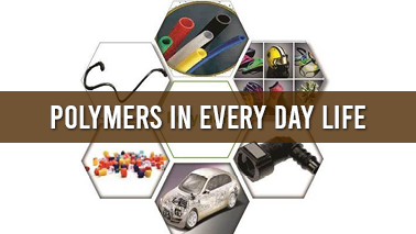 Peers Alley Media: Polymers in Every day life 
