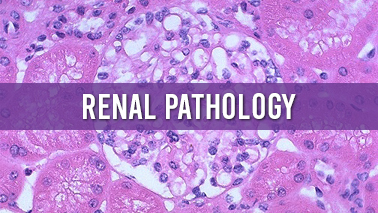 Peers Alley Media: Renal pathology and Dermatopathology