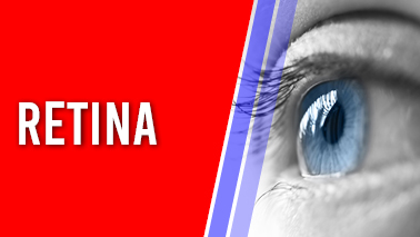 Peers Alley Media: Retina