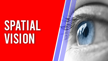 Peers Alley Media: Spatial Vision