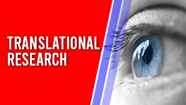 Peers Alley Media: Translational Research