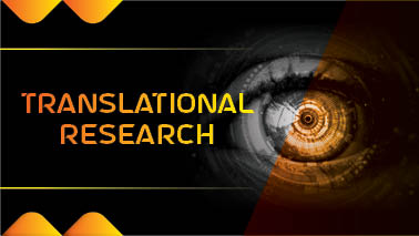 Peers Alley Media: Translational Research