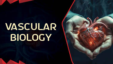 Peers Alley Media: Vascular Biology