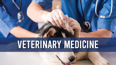 Peers Alley Media: Veterinary Medicine
