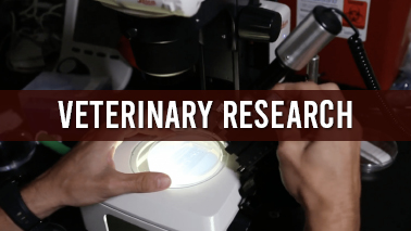 Peers Alley Media: Veterinary Research