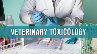 Peers Alley Media: Veterinary Toxicology