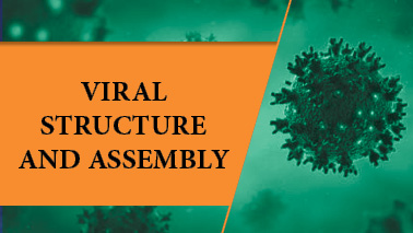 Peers Alley Media: Viral Structure and Assembly