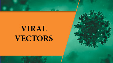 Peers Alley Media: Viral Vectors