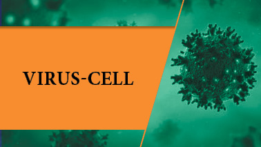 Peers Alley Media: Virus-Cell, Virus-Microbe, and Virus-Host Interactions