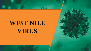 Peers Alley Media: West Nile Virus