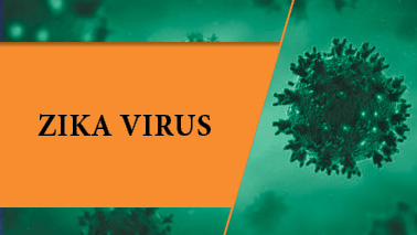 Peers Alley Media: Zika Virus